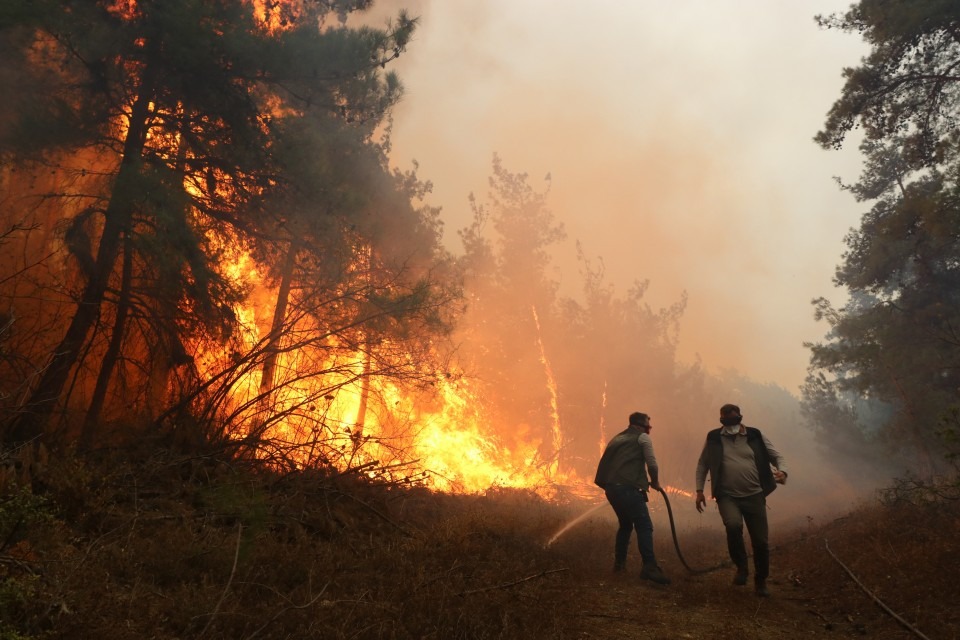 Çanakkale Gelibolu Orman Yangını