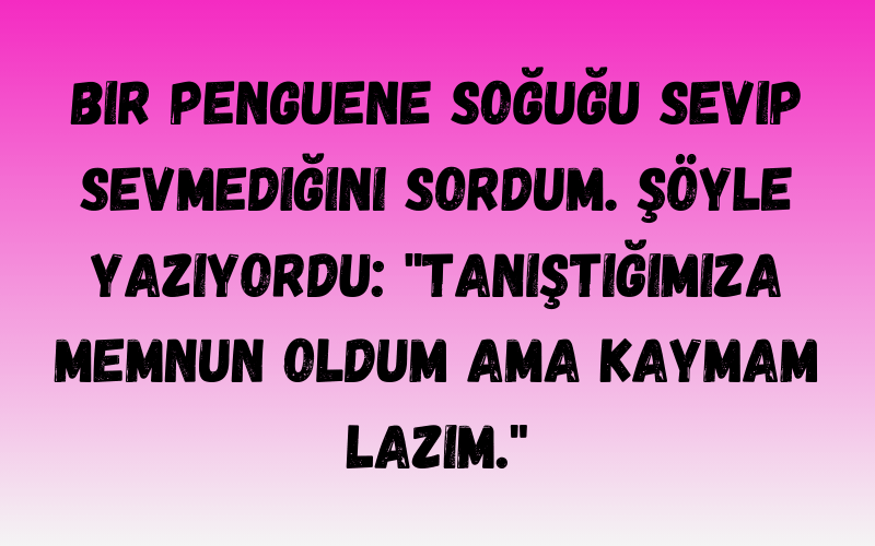 ​Soğuk Espriler Dünyasını Keşfetmek