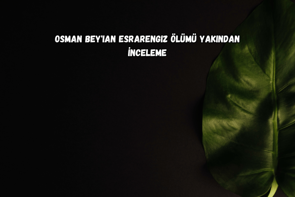 Osman Bey'in gizemli ölümünün derinlemesine bir keşfi – sizi bu esrarengiz bulmacanın kıvrımlarına ve dönüşlerine götüren bir yolculuk. 📜🔍 #UnveilingSecrets #OsmanBey