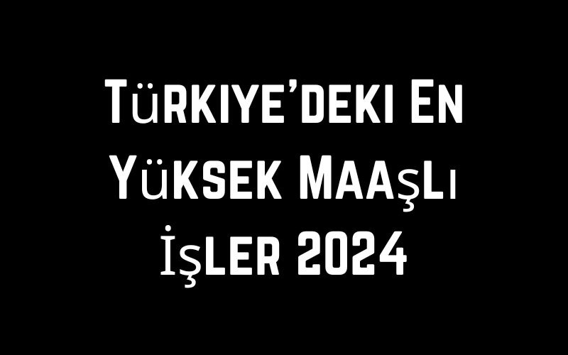 Türkiye'deki En Yüksek Maaşlı İşler 2024