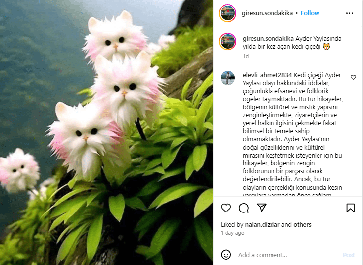Kedi Çiçeği Ayder’de: Doğal Bir Güzellik mi, Yapay Bir Yaratım mı